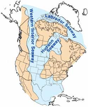 Kimberlite formation